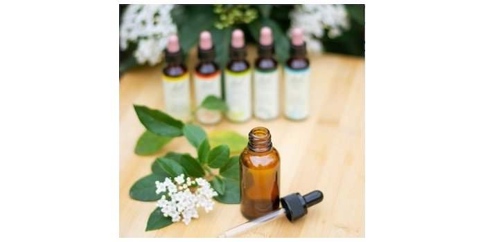 Atelier en ligne – Comment vivre au mieux son expatriation grâce aux Fleurs de Bach