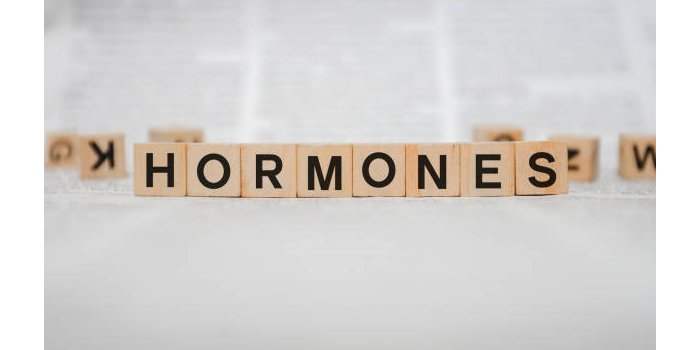 CONFÉRENCE : "Nutrition & Equilibre hormonal"