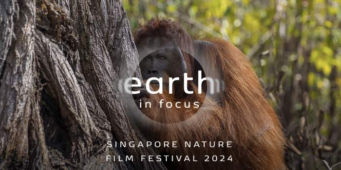 Nature Film Festival, Sentosa