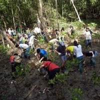 Activité "Plant a tree" avec NParks