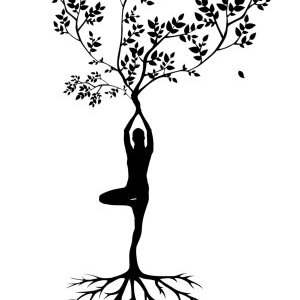 Coaching 'Arbre de Vie'