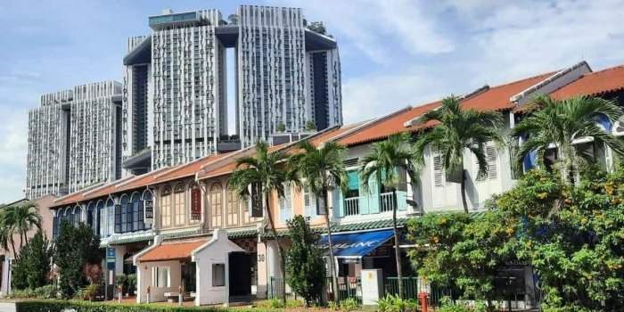 Visite de Tanjong Pagar (Chinatown) - Visite gratuite