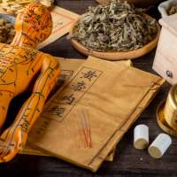 A la découverte de la médecine chinoise