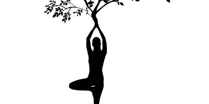 Coaching 'Arbre de Vie'