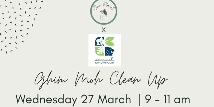 clean up Ghim Moh (Buona Vista)