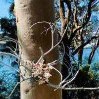 ANNULÉ - Atelier "Inspiration écoresponsable : Fleurs et trouvailles maritimes"