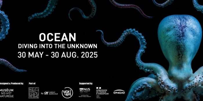 Visite guidée Expo "Ocean" Alliance Française