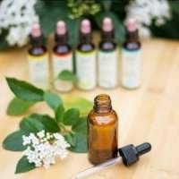 Atelier en ligne – Comment vivre au mieux son expatriation grâce aux Fleurs de Bach