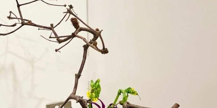 Atelier Floral