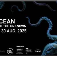 Rencontre autour de l'Art - EXPO "OCEAN" ALLIANCE FRANÇAISE
