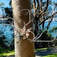 Atelier "Inspiration écoresponsable : fleurs et trouvailles maritimes"