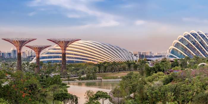 Visite guidée "Carbone et Climat" - Gardens By the Bay