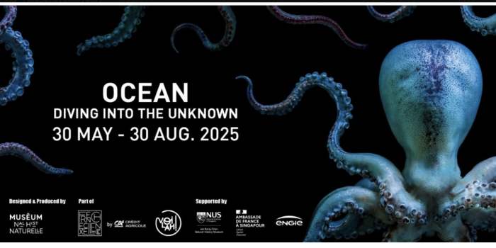 Rencontre autour de l'Art - EXPO "OCEAN" ALLIANCE FRANÇAISE